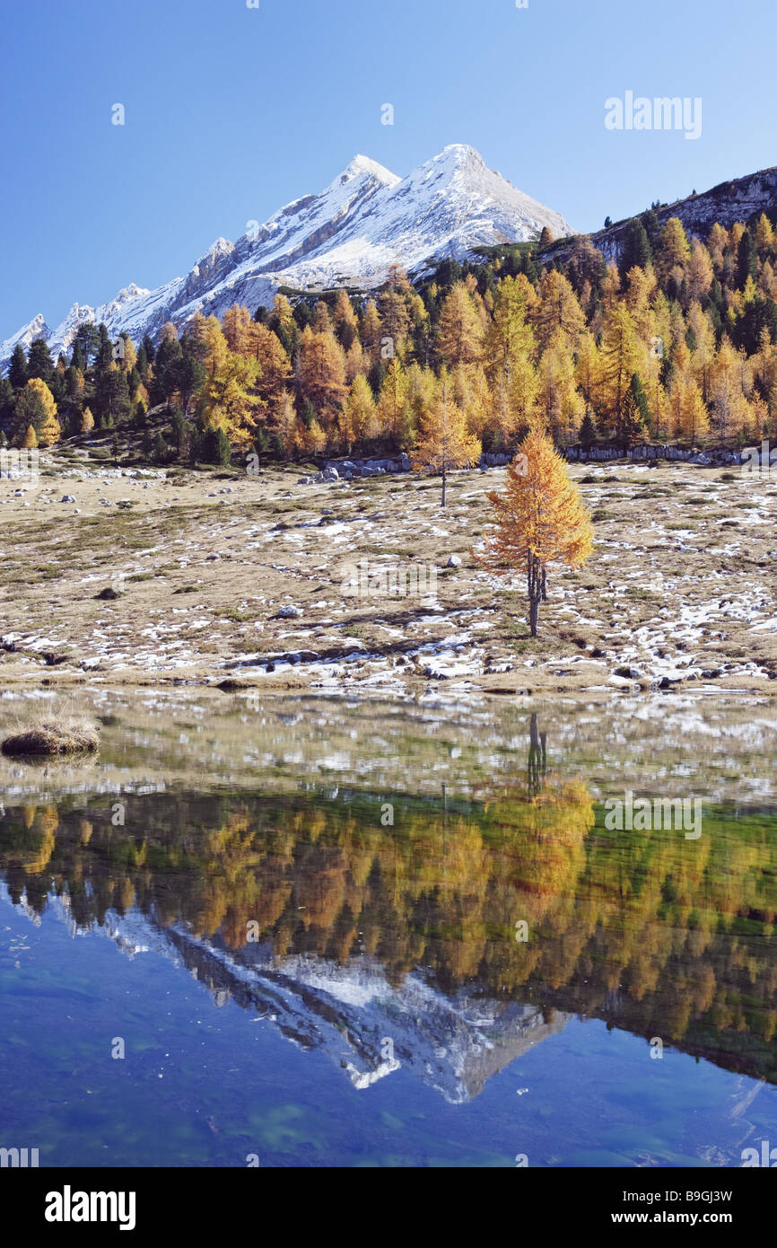 Italien Dolomiten Fanes-Sennes-Prags Grünsee Lärchen Larix Herbst Südtirol Reise Reiseziel Berge Berg Landschaft Berg Stockfoto