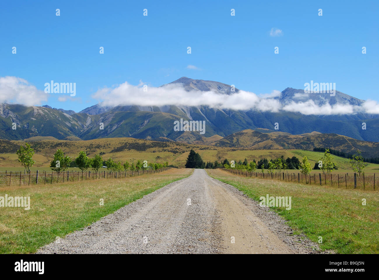 Unbefestigte Straße nach Brooksdale Farm, State Highway 73, Selwyn Bezirk, Canterbury, Südinsel, Neuseeland Stockfoto