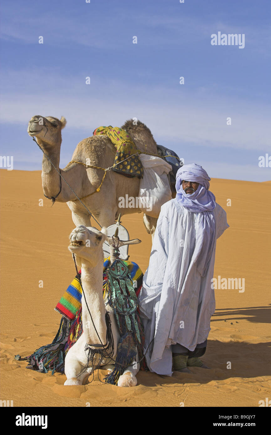 Afrika-Libyen Sand-Wüste Tuareg Kamele in voller Länge Porträt Afrika Araber-Berber-Berber Leute Camelidae Dünen Native abgeschieden Stockfoto