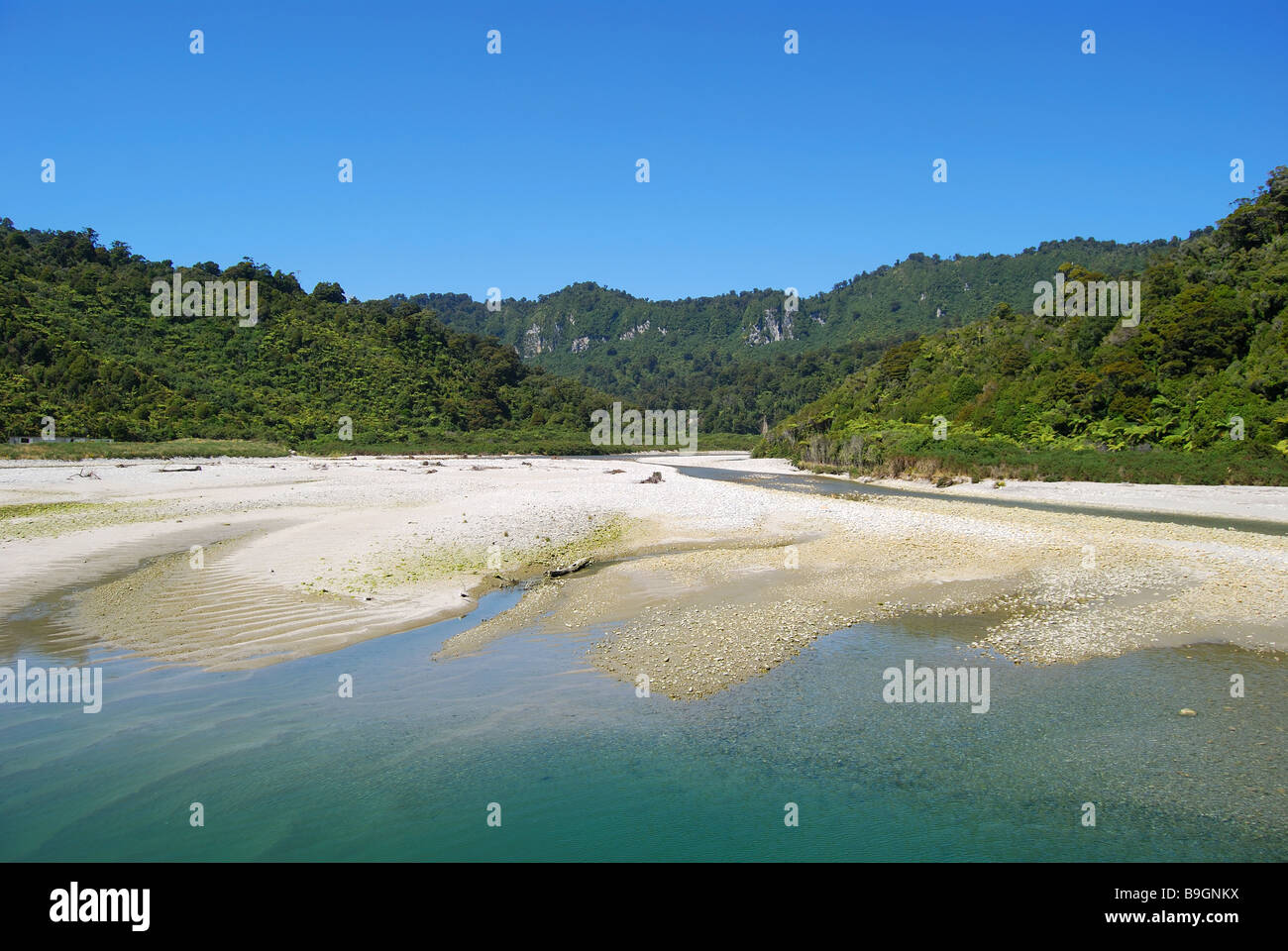 Fox River, Paparoa National Park, West Coast, Südinsel, Neuseeland Stockfoto
