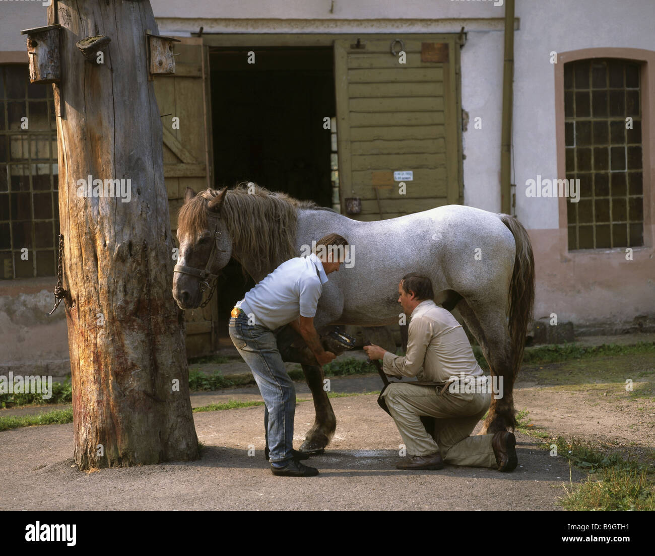 Polen-Mensch-Pferd-Schmied arbeiten Menschen Männer reiten Pferd Kutsche Pferd HUF-Nebel Arbeit Beruf Hufeisen Smith-Klauenpflege Stockfoto