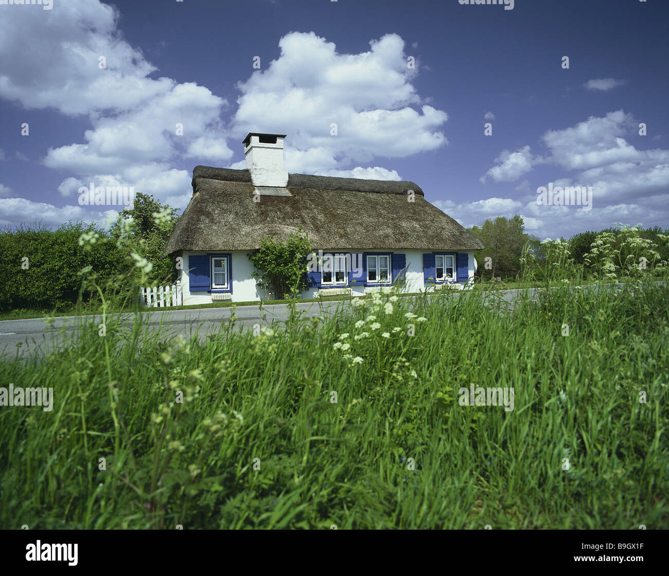 Deutschland Schleswig Holstein Arnis Bin Schlei Reed Dach Haus
