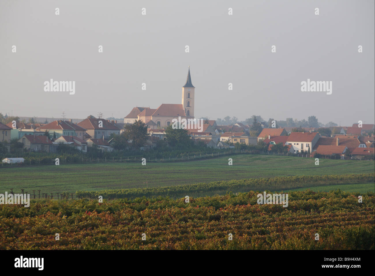 Dorf Velke Bilovice Weinregion Tschechien Stockfoto