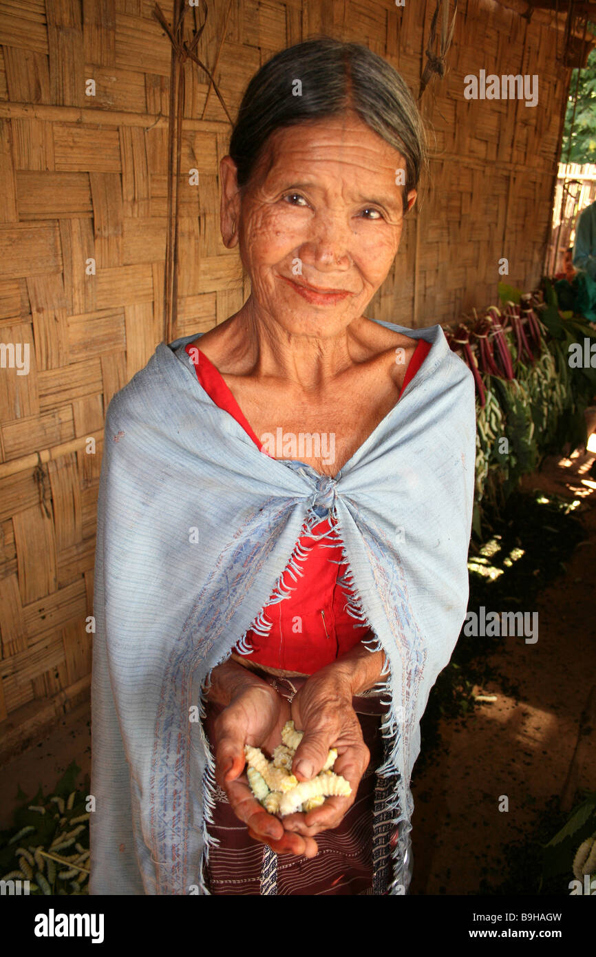 Karbi Stamm Frau mit Eri Seidenraupen, Assam, Indien Stockfoto