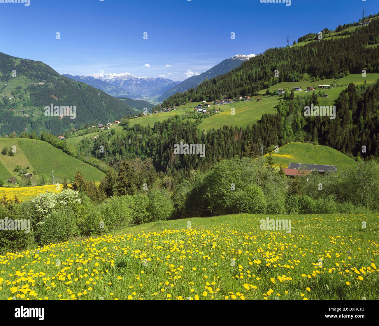 Österreich Tirol Zillertal Landschaft Blick Gerlosberg Frühling Nord-Tiroler Berge Landschaft 