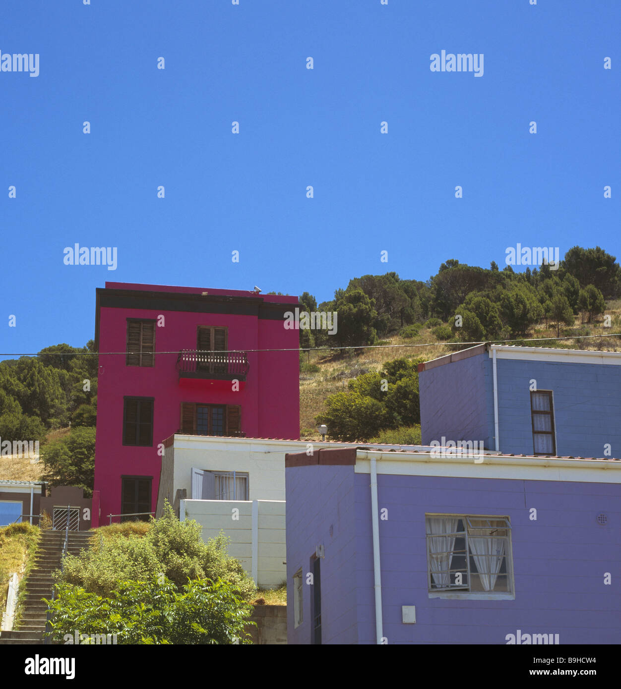 Südafrika Kapstadt Bo-Kaap-Viertel beherbergt bunt Himmel Afrika West-Kap Fassade Balkon lila rosa Leben Büsche Stockfoto