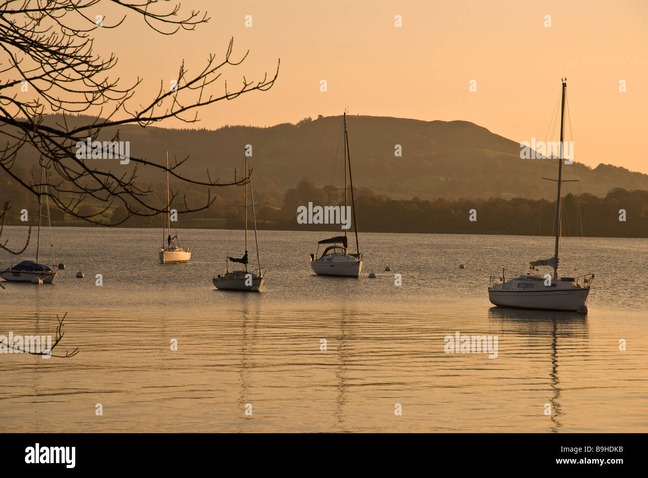 Festgemachten Jachten Windermere Lake Distrikt Cumbria UK Stockfoto