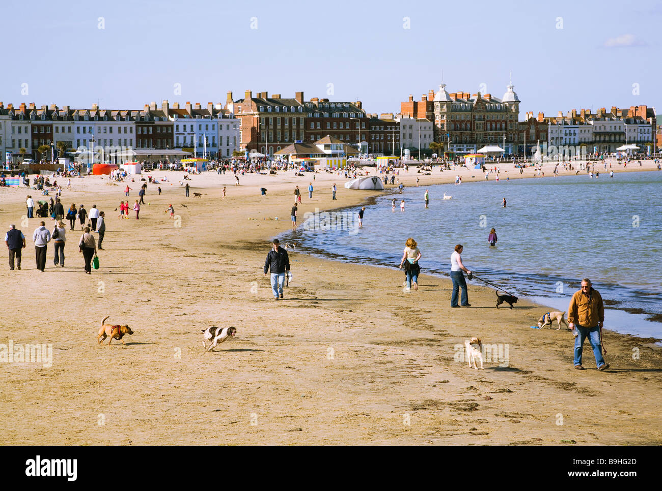 Passanten, die ihre Hunde am Strand von Weymouth. Dorset. VEREINIGTES KÖNIGREICH. Ferien-Resort-Hotels und Pensionen in den Hintergrund. Stockfoto