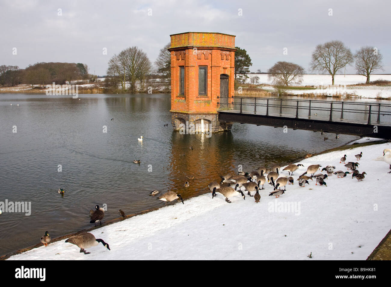 Viktorianische Wasserturm Stockfoto