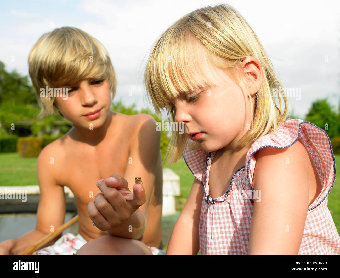 Kinder betrachten eine Kaulquappe Stockfoto