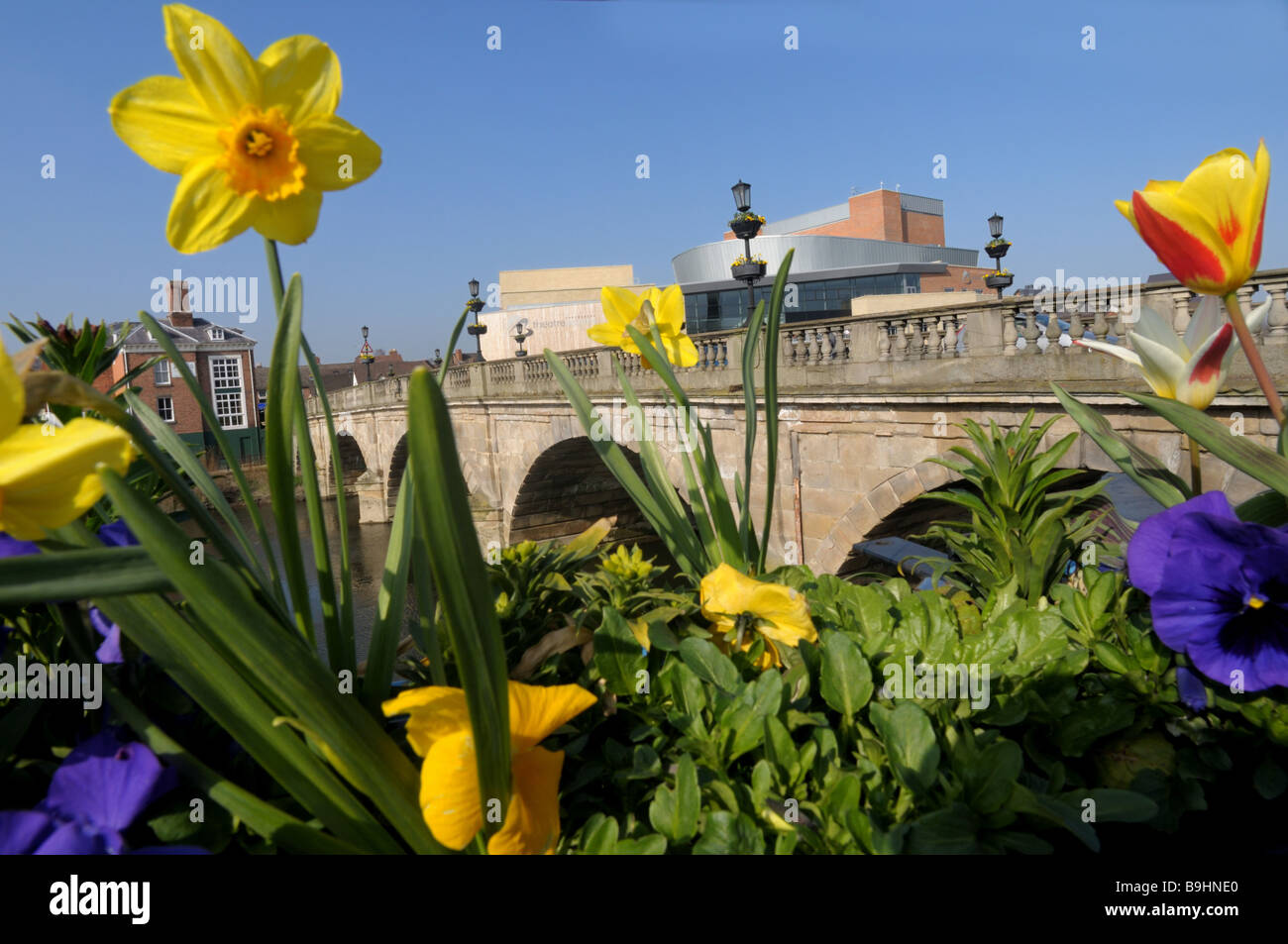 Theatre Severn und Waliser Brücke im Frühjahr Shrewsbury Shropshire Stockfoto