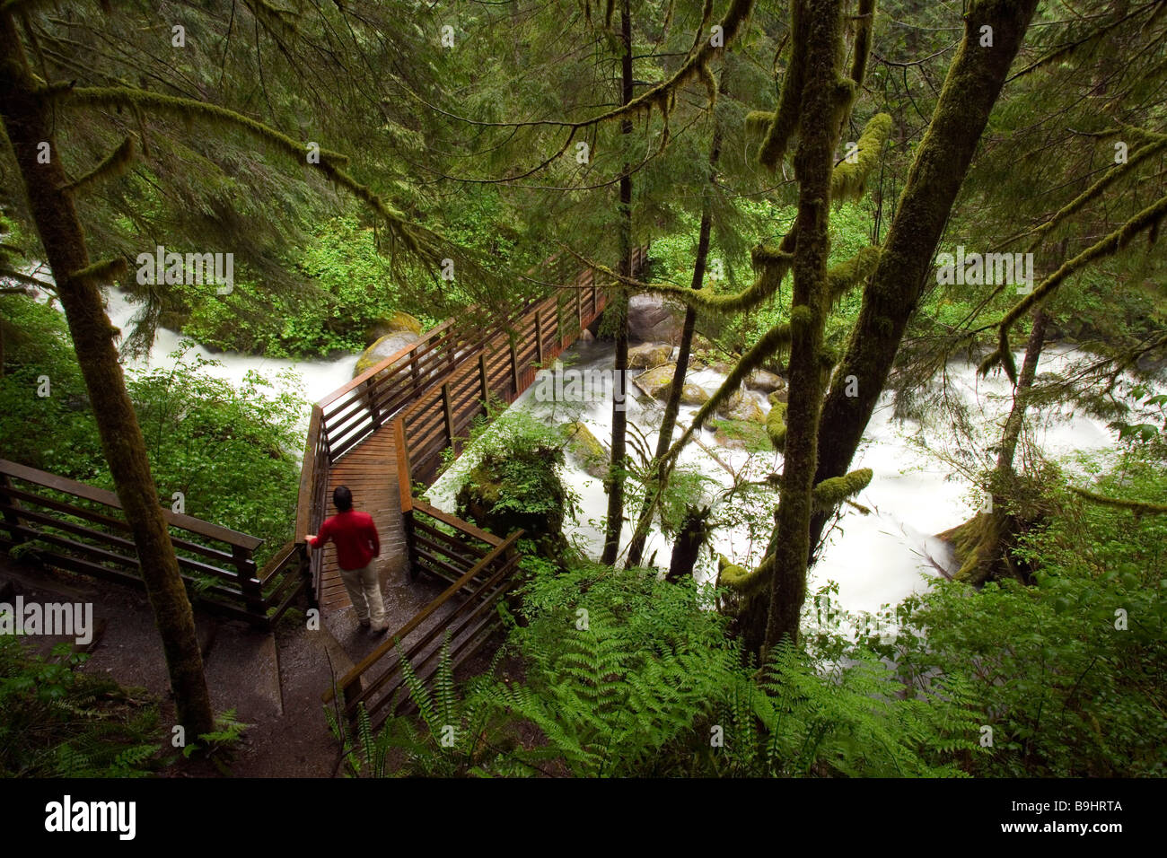 Wanderer auf Brücke in Wallace Falls State Park, Washington Stockfoto