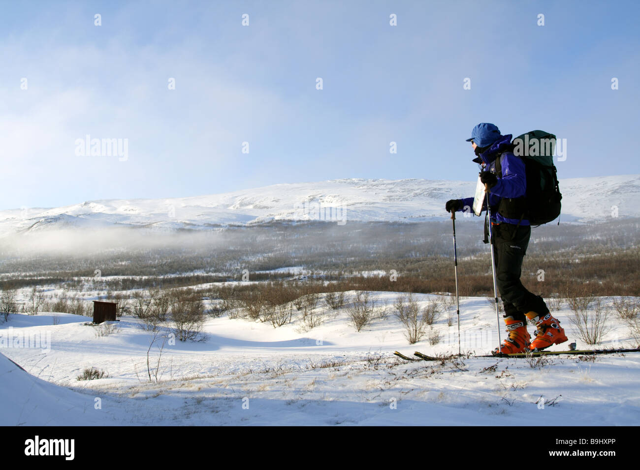 Ein Skifahrer in Schwedisch-Lappland Stockfoto