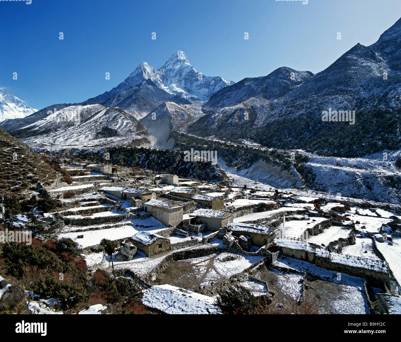Terrassenfelder in der Nähe von Pangboche, Mount Ama Dablam, 6856 m, zweite Spitze 5563 m, Khumbu, Himalaya, Nepal, Südasien Stockfoto