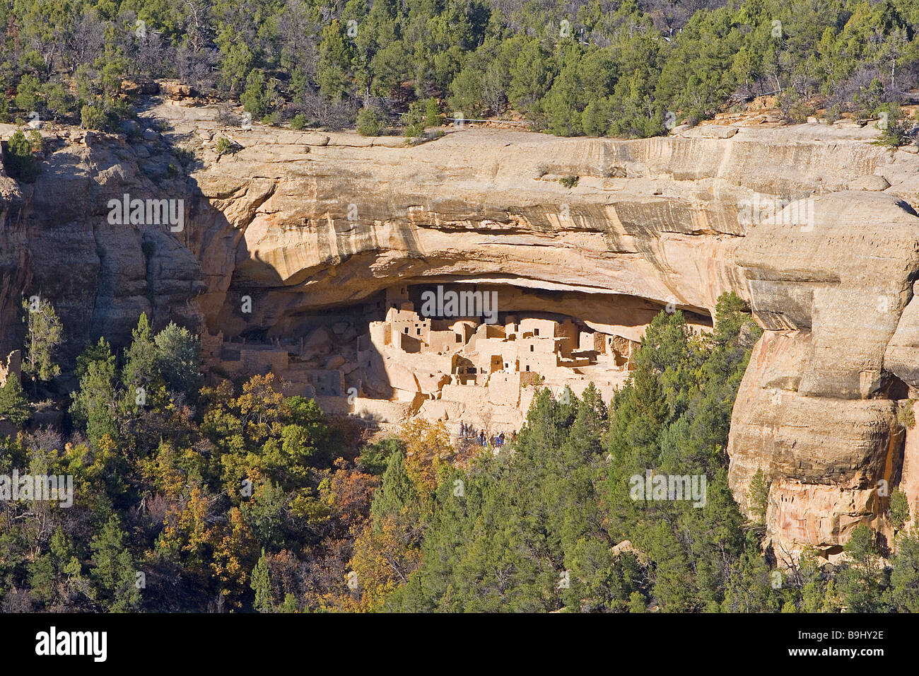 USA Colorado Mesa-Verde-Nationalpark Cliff Palace Felsen Schleuse-Gülle beherbergt Anasazi-Kultur Amerika Anblick Reise Tourismus Stockfoto