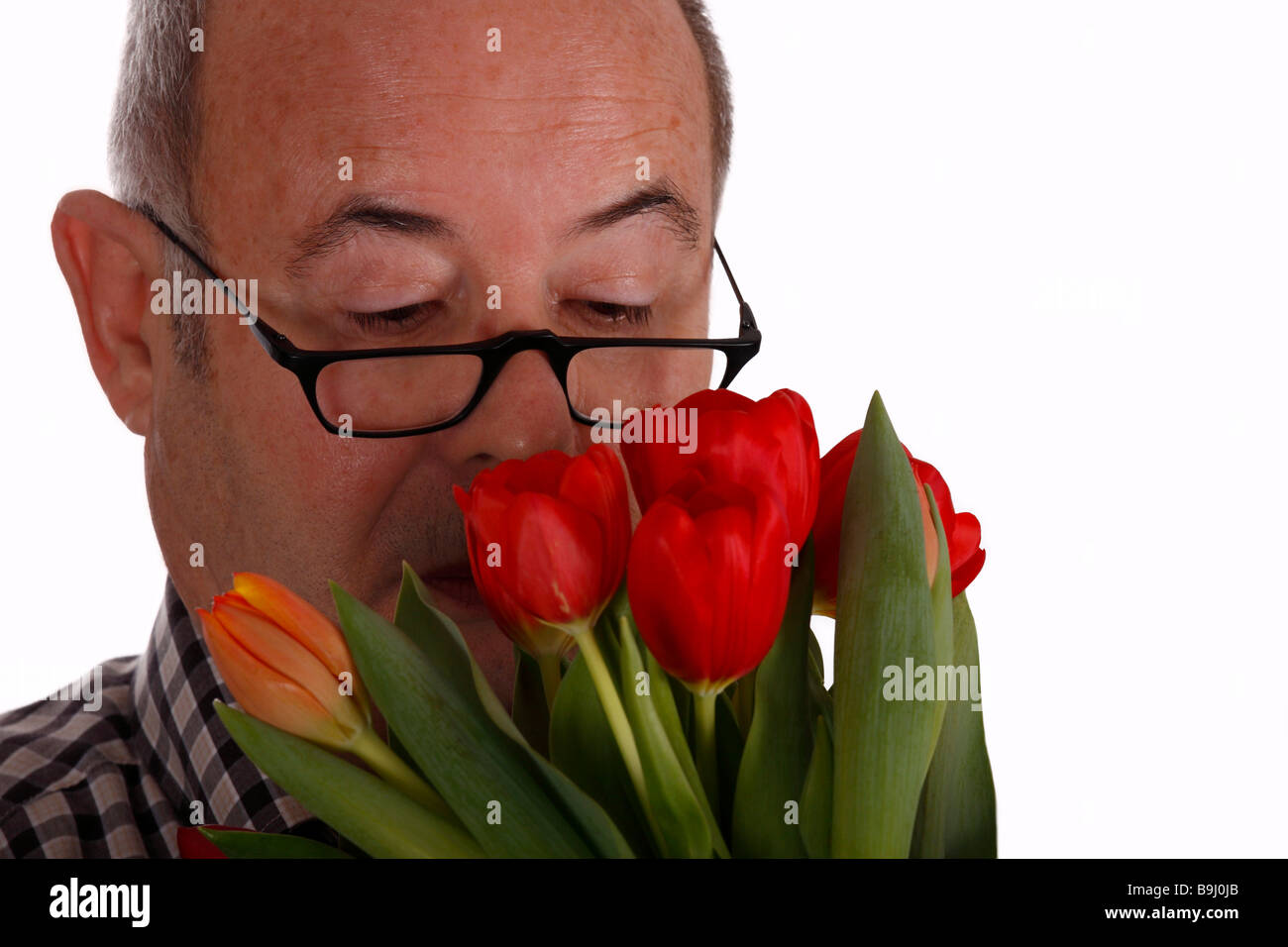 Rentner mit Brille, einen Strauß Tulpen riechen Stockfoto