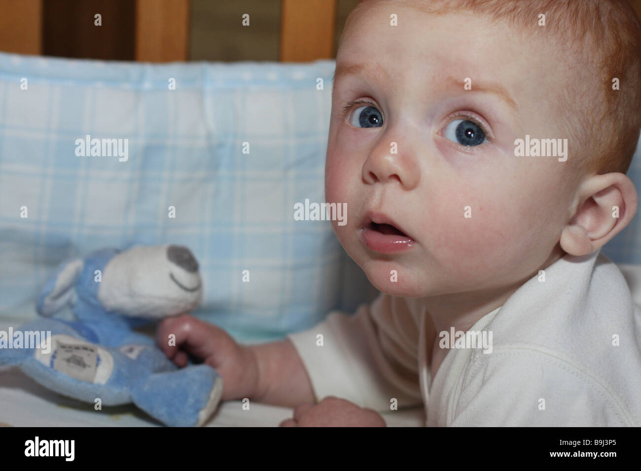 Baby Junge spielt mit Spielzeug im Kinderbett Stockfoto