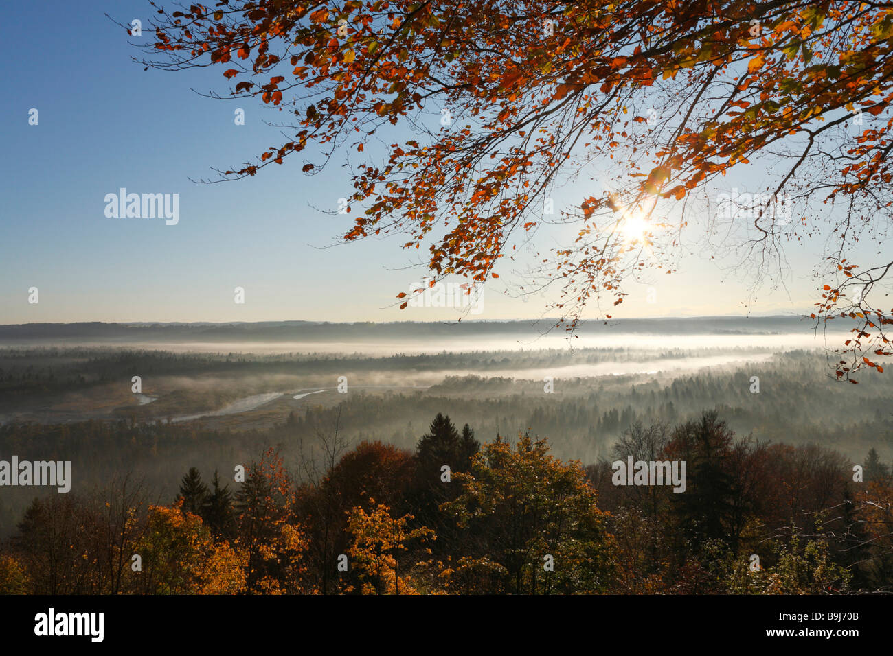 Morgen-Stimmung in der Pupplinger Auwald in der Nähe von Wolfratshausen, Isar Feuchtgebiete, Oberbayern, Deutschland, Europa Stockfoto