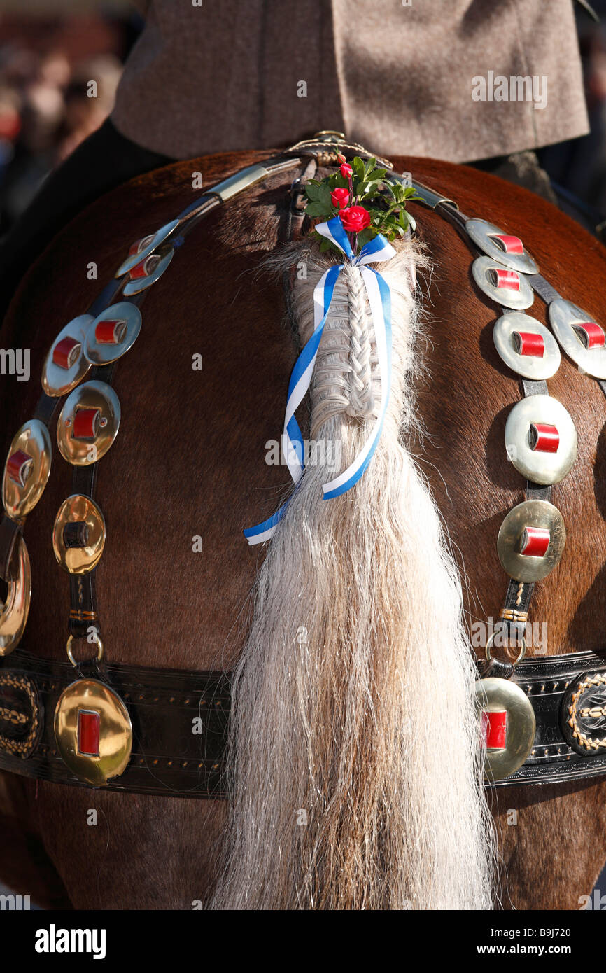 Pferdeschwanz verziert, während Leonhardifahrt, der Festtag des Heiligen Leonhard von Noblac, Kreuth, Tegernseer Tal, Oberbayern Stockfoto