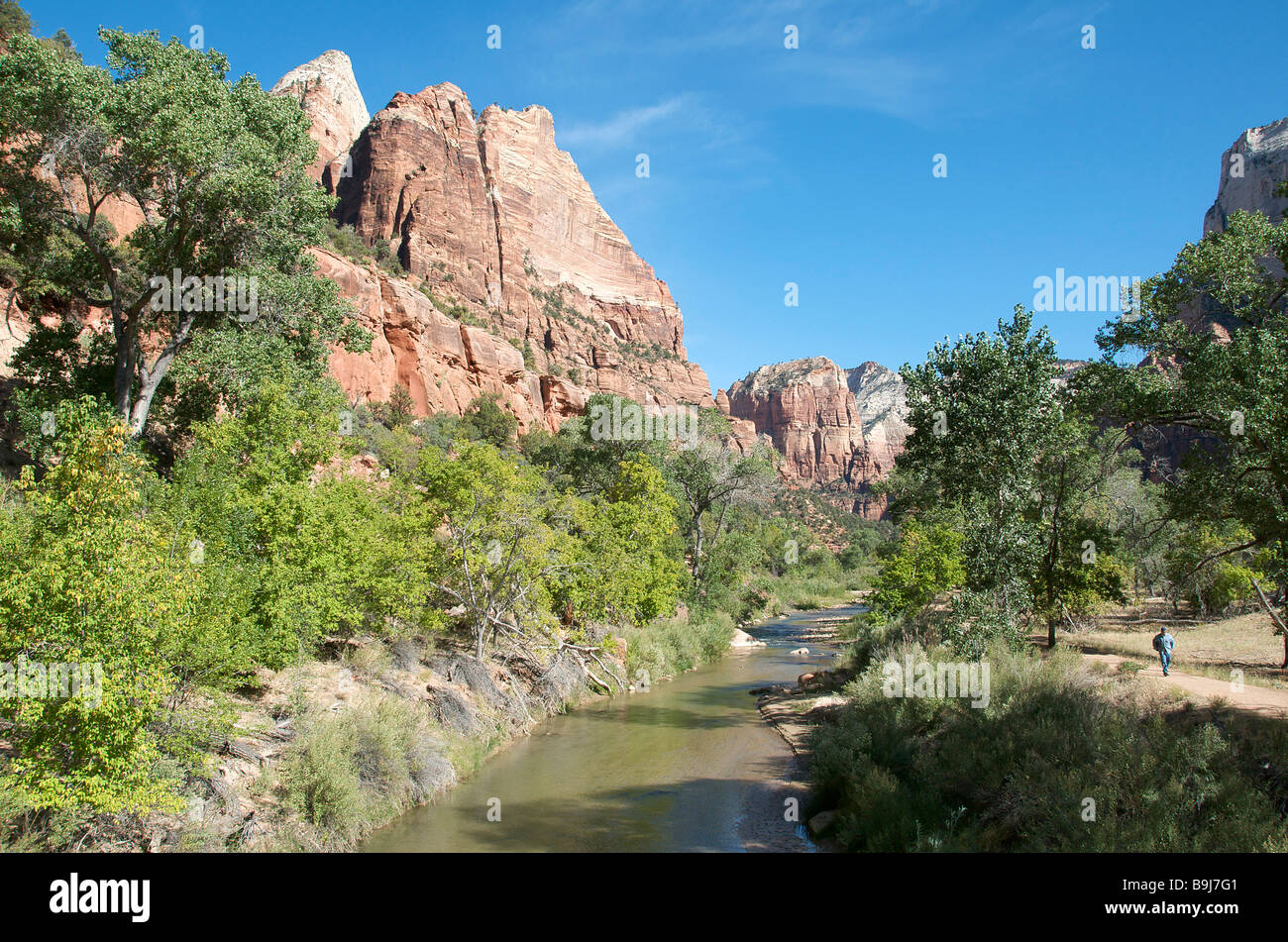 Virgin River Zion National Park, Utah USA Stockfoto