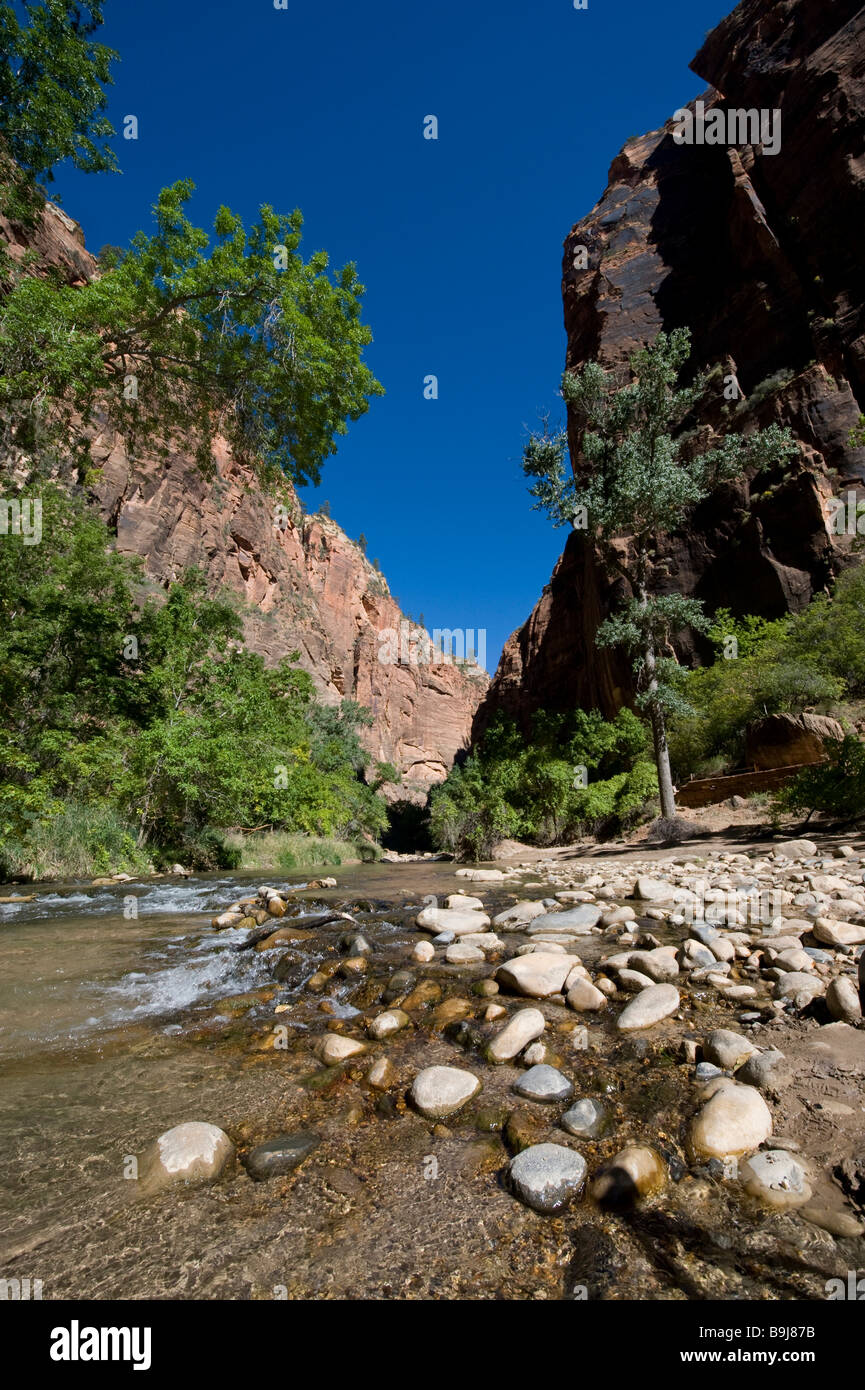 Fluss in tiefen Canyon, The Narrows, Zion Nationalpark, Utah, USA Stockfoto