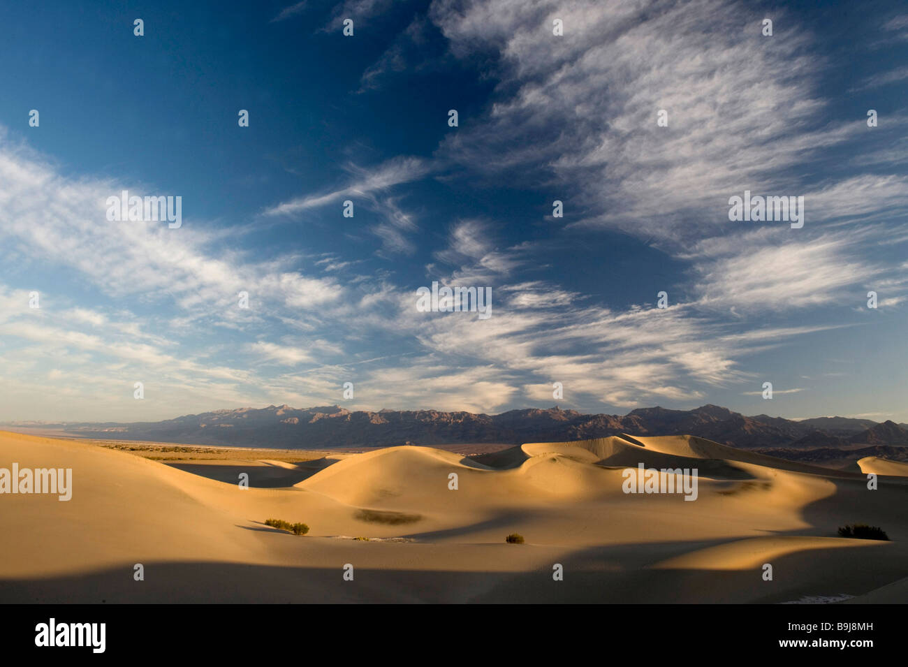 Mesquite flachen Dünen, Death Valley, Kalifornien, USA Stockfoto