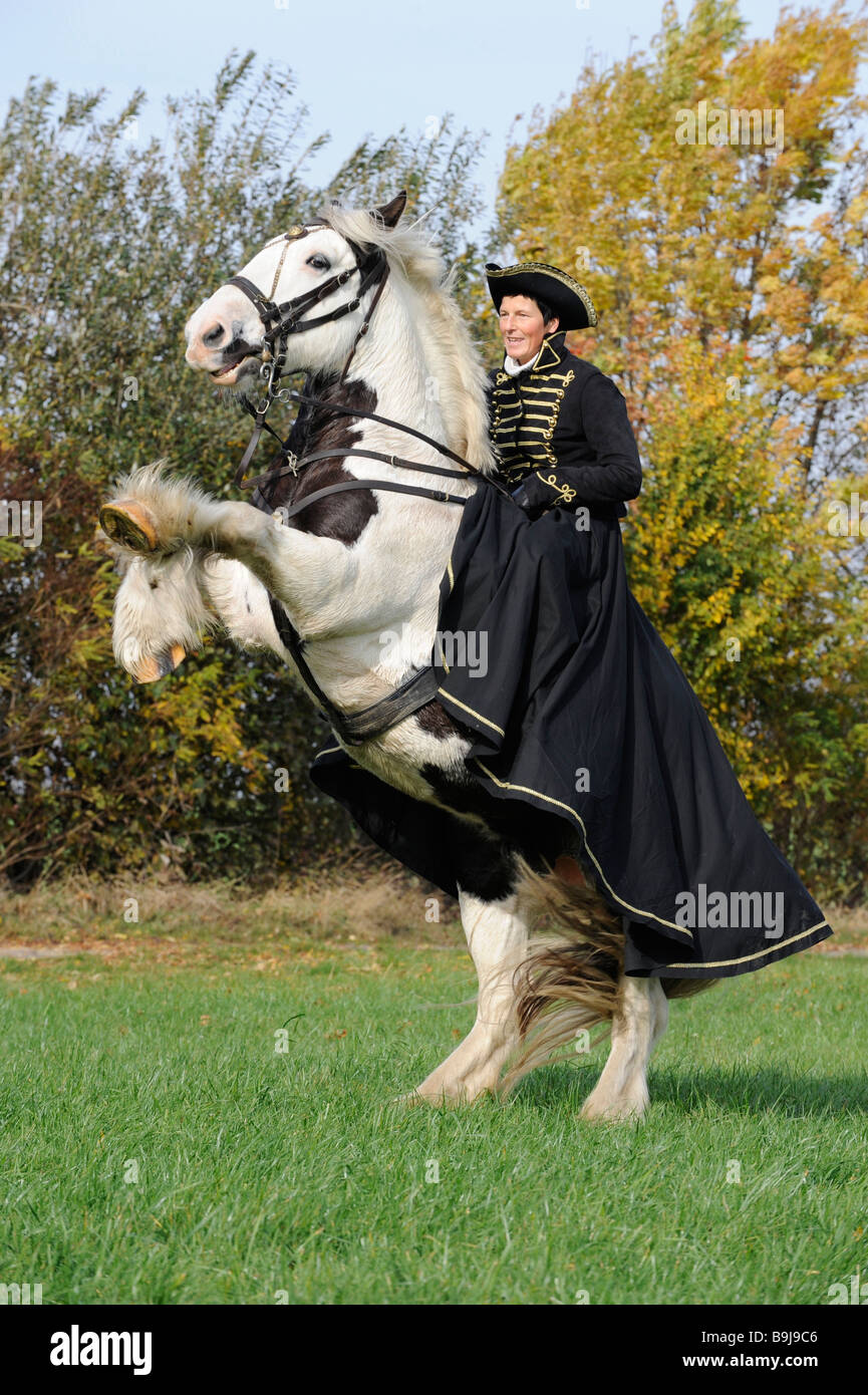 Reiterin in historischen Kostümen auf einer Pferd auf seinen Hinterbeinen  steht Stockfotografie - Alamy