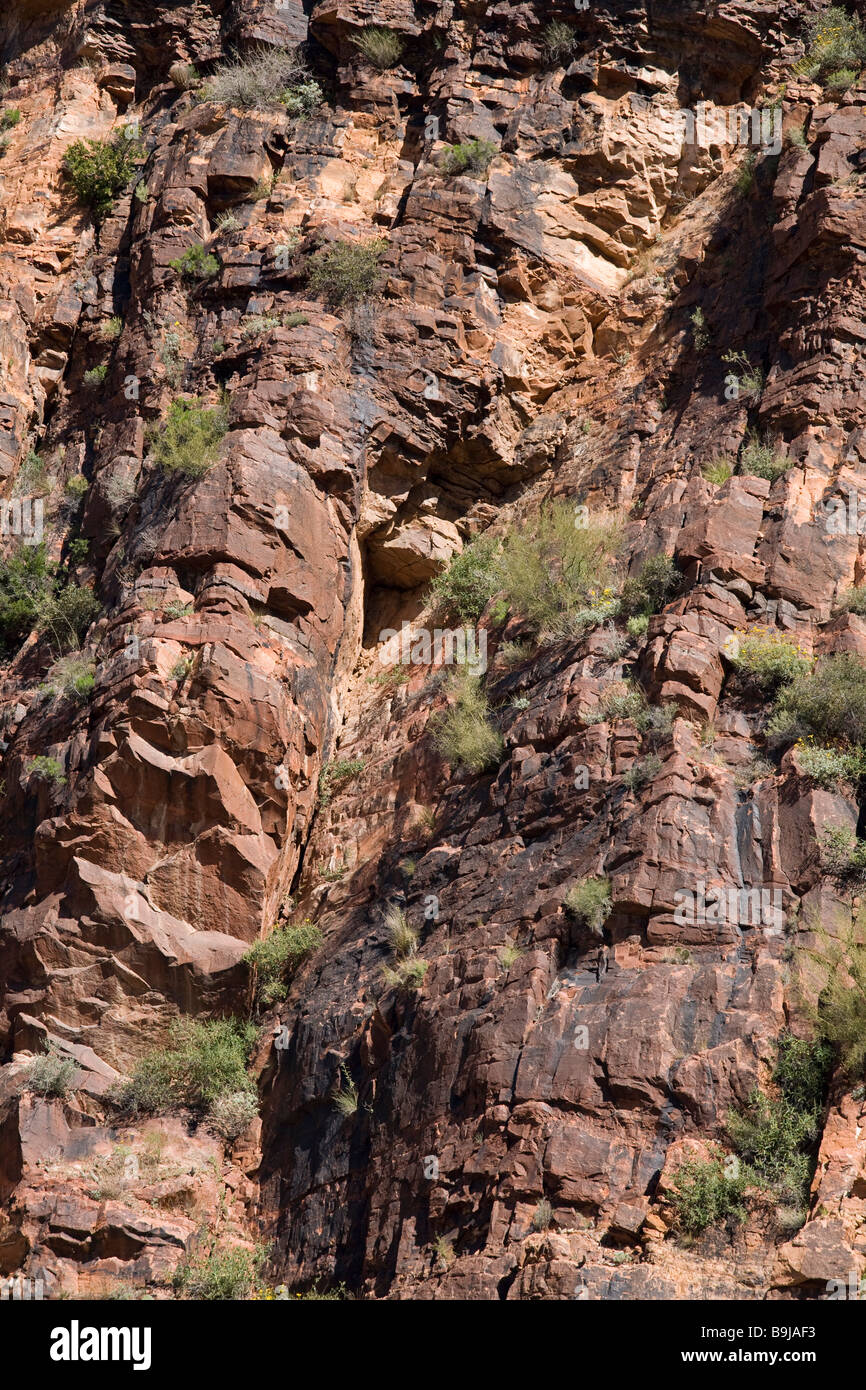 Mittleren Proterozoic Sedimentgesteine Stockfoto