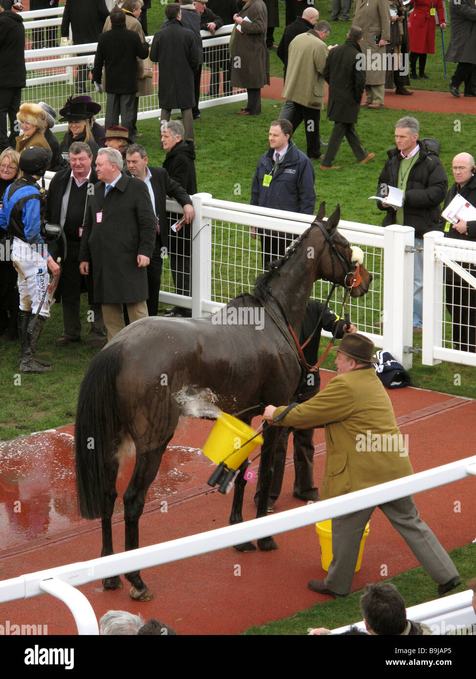 Cheltenham Gloucestershire England GB UK 2009 Stockfoto
