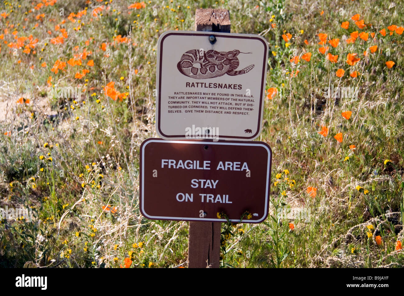 Warnschild, Klapperschlangen! California State Park (siehe Beschreibung für Text) Stockfoto