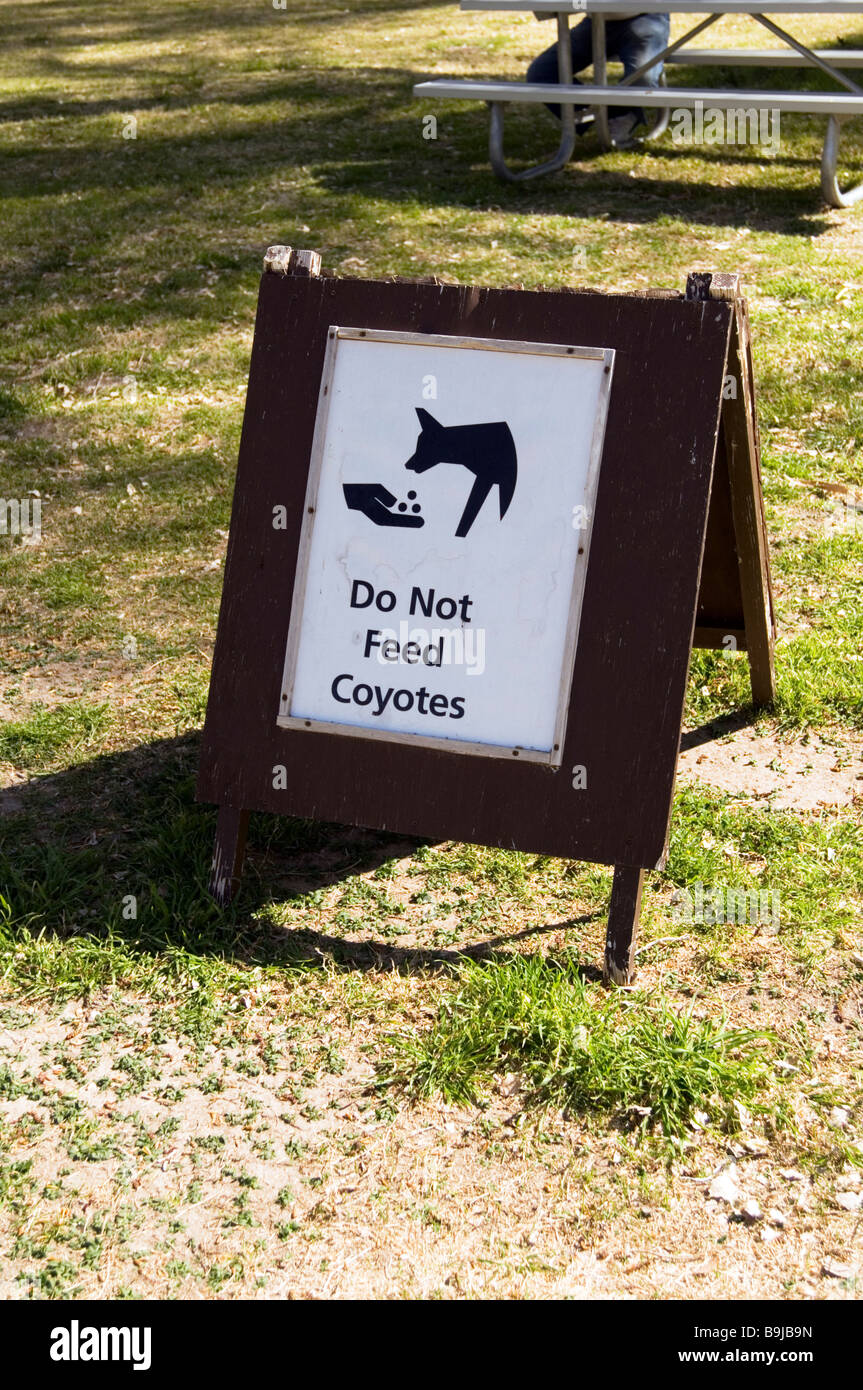 "Nicht füttern Kojoten Warnzeichen zu tun Stockfoto