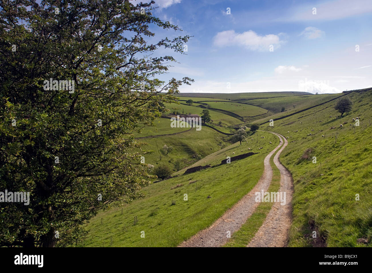 Ackerland in der Nähe von Buxton Peak District National Park, Cheshire, Großbritannien, Europa Stockfoto