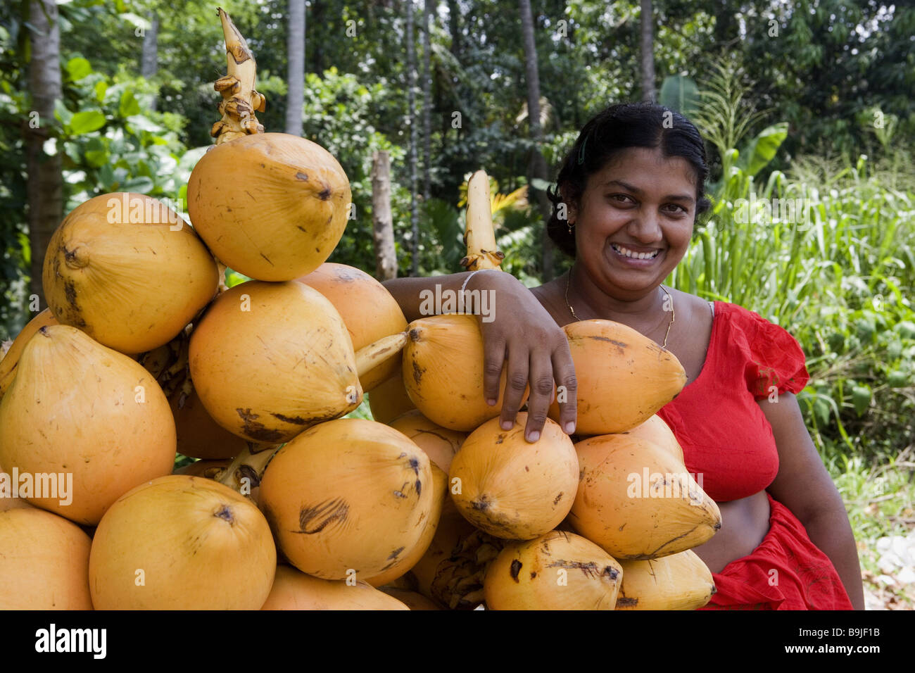Sri Lanka Colombo Eingeborenen Verkauf Kokosnüsse Südost-Asien Asien Insel Menschen Frau dunkelhäutigen lächelnd stand Obst Wirtschaft bietet wohnen Stockfoto