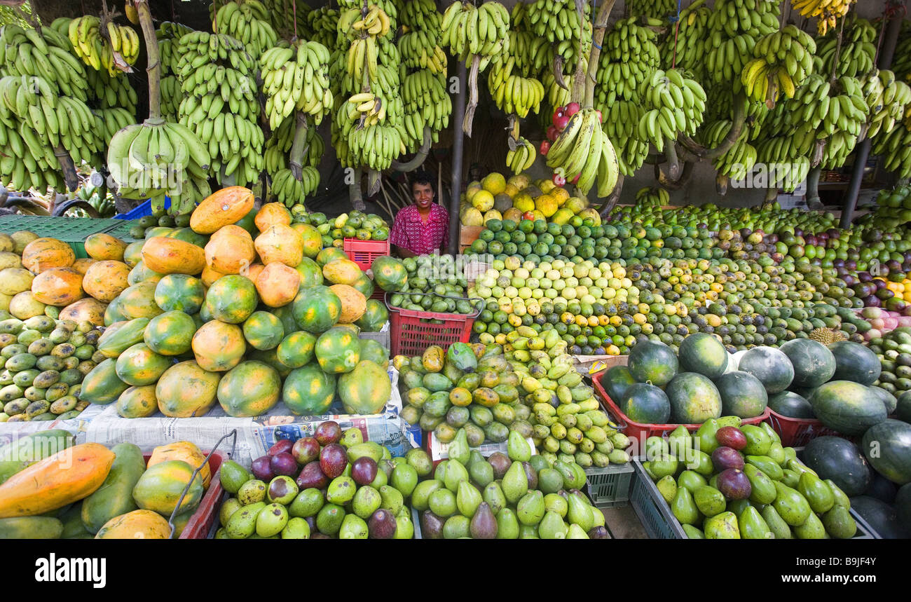 Sri Lanka-Kandy Frau Verkauf Süd-Obst Asien Südasien Menschen native Geschäft Marktstand Obst Obst Mangos Melonen-Zitronen Stockfoto