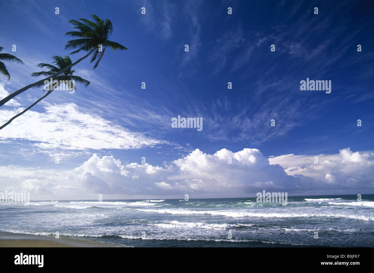 Sri Lanka-Südwestküste Hikkaduwa Palmenstrand Meerblick getrübt Asien Südasien Strand Sand Palmen See Surf Brandung Himmelshorizont Stockfoto