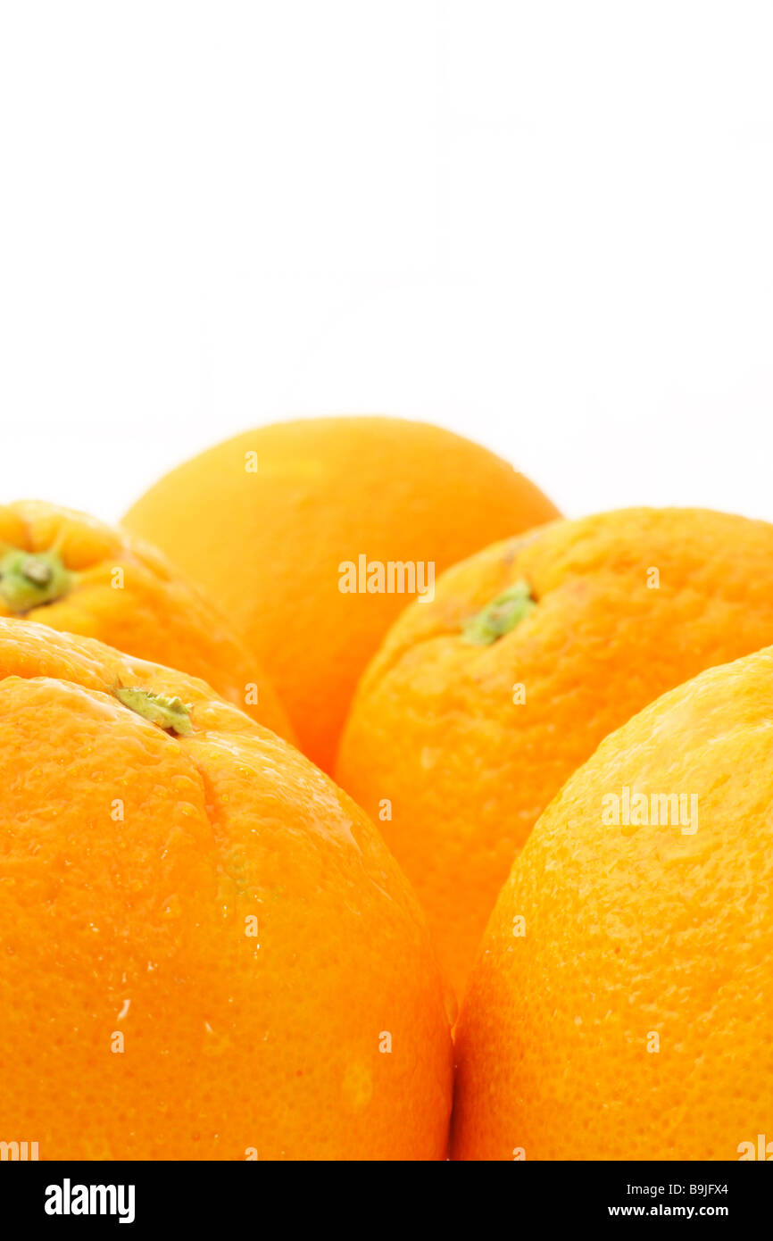 Orangen auf weißem Hintergrund mit Textfreiraum Stockfoto