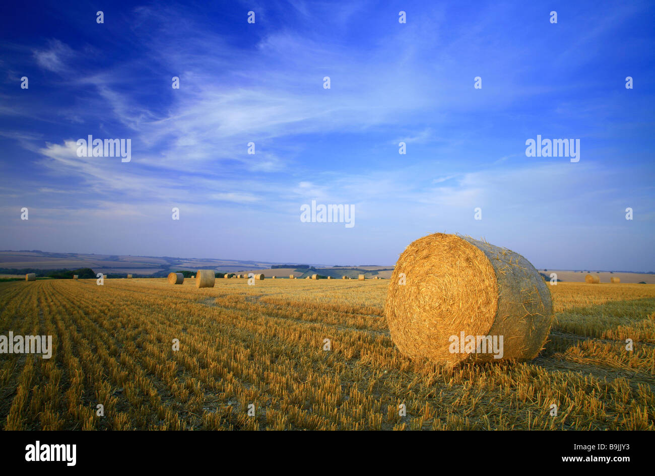 Ein Ballen Stroh in einem Feld von Stoppeln nach der Ernte mit blauen Himmel und Sommerwolken Stockfoto