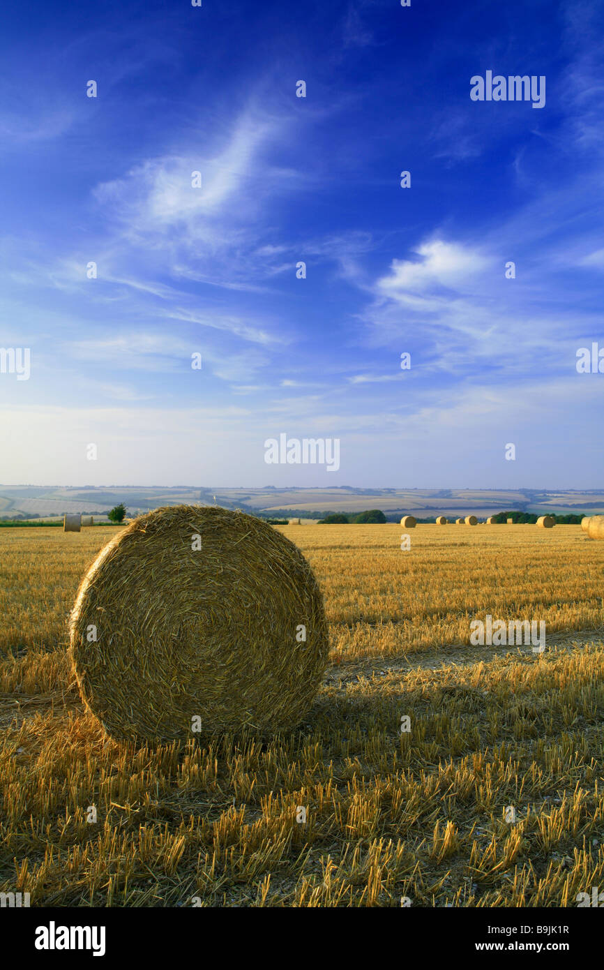 Ein Ballen Stroh in einem Feld von Stoppeln nach der Ernte mit blauen Himmel und Sommerwolken Stockfoto