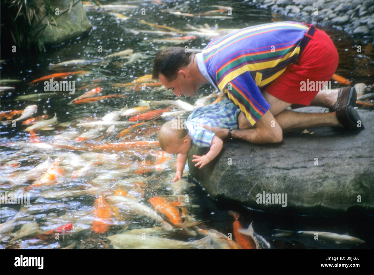 Vater Vater Baby zeigen Koi Fischwasser sicheren Versorgung Liebe Lehren Interesse vorstellen begeistern Anleihe Stockfoto