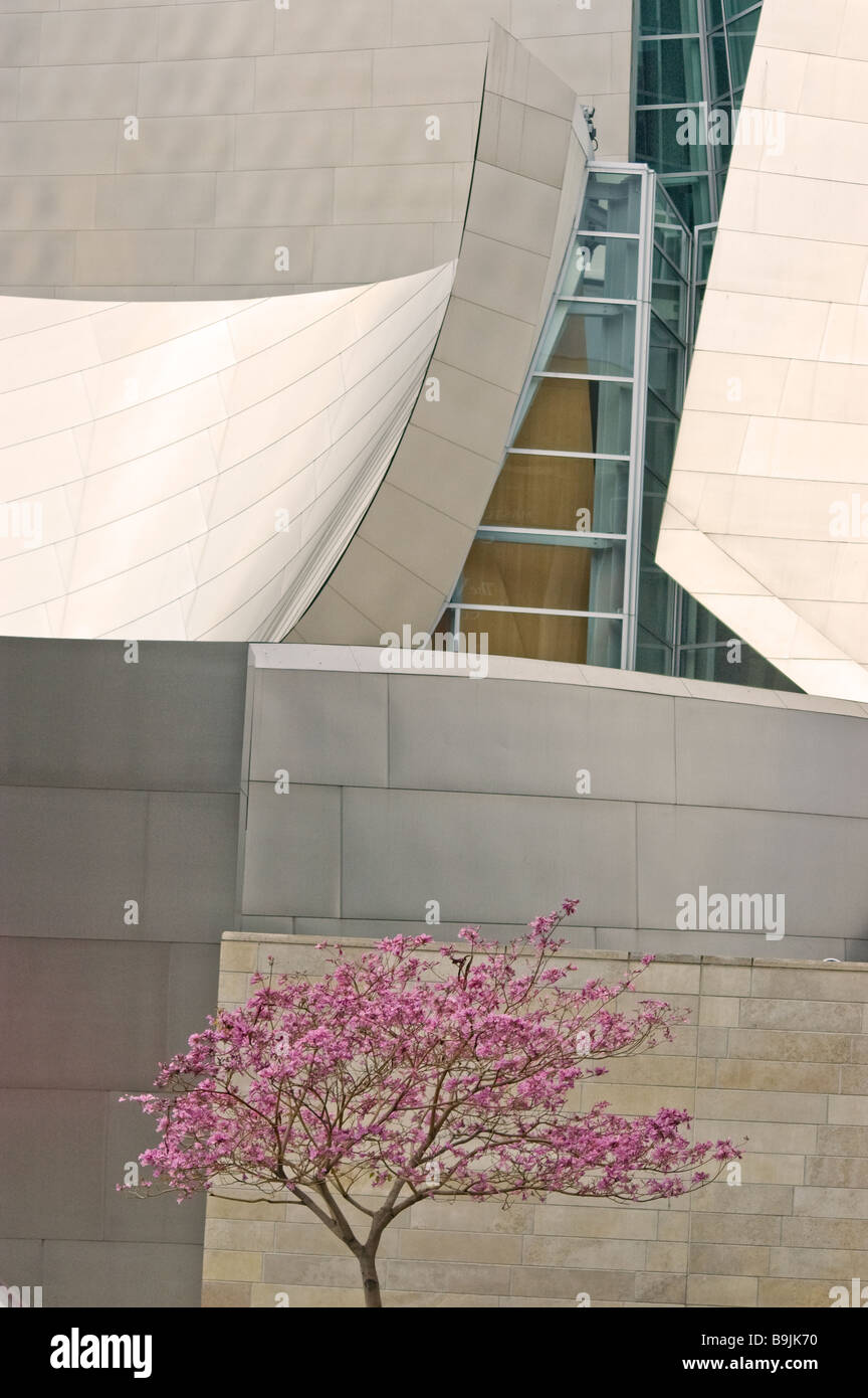 Ein einsamer Baum vor der Walt Disney Concert Hall in Los Angeles, Kalifornien Stockfoto