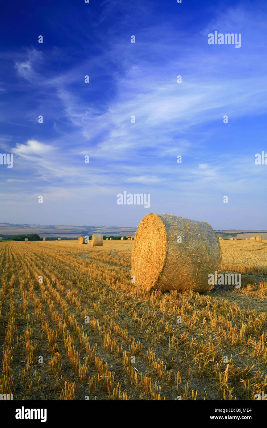 Ein Ballen Stroh in einem Feld von Stoppeln nach der Ernte mit blauen Himmel und Sommerwolken Stockfoto