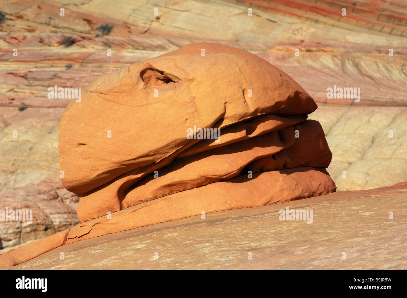 USA Utah Paria Canyon-Vermillion Cliffs Wilderness Coyote Buttes Amerika Coyote Buttes Coyote Buttes Felsen Formationen Formen Stockfoto