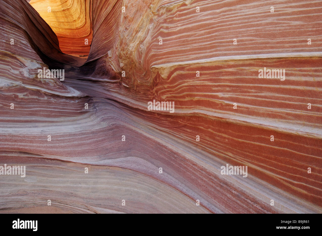 USA Arizona Utah Paria Canyon-Vermillion Cliffs Wilderness Welle Amerika Arizona Canyon Farben Felsen fließend Formationen Formen Stockfoto