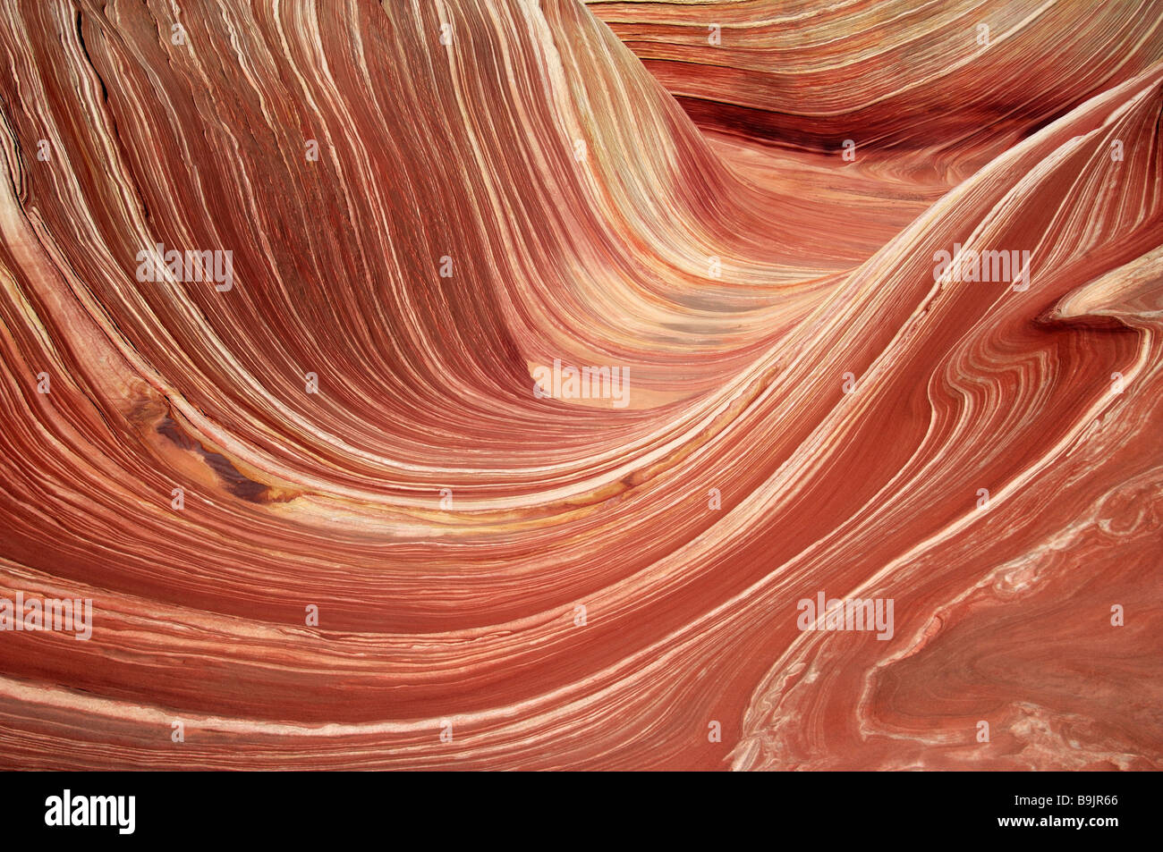 USA Arizona Utah Paria Canyon-Vermillion Cliffs Wilderness Welle Amerika Arizona Canyon Farben Felsen fließend Formationen Formen Stockfoto