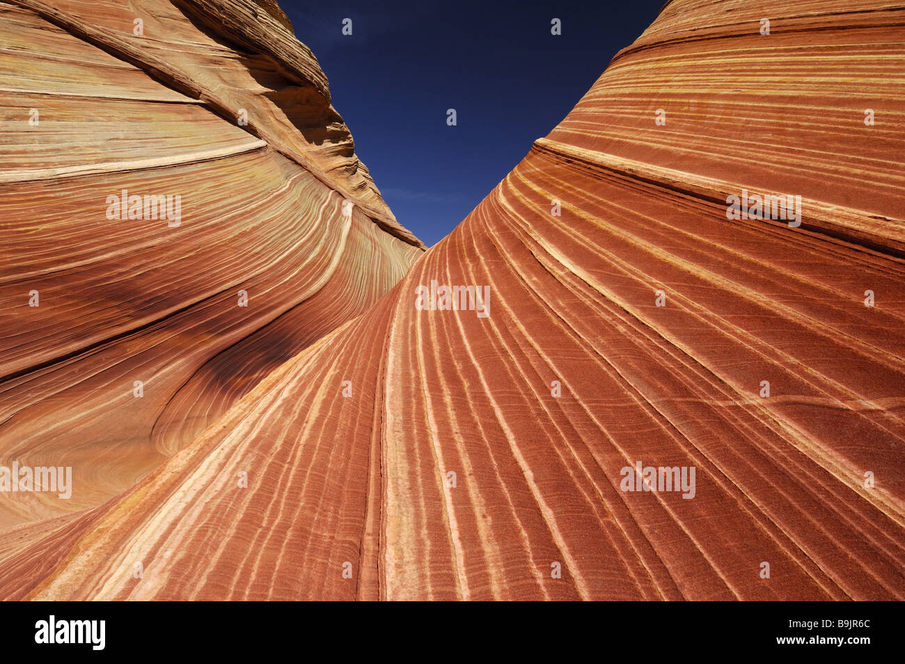 USA Arizona Utah Paria Canyon-Vermillion Cliffs Wilderness Welle Amerika Arizona Canyon Farben Felsen fließend Formationen Formen Stockfoto