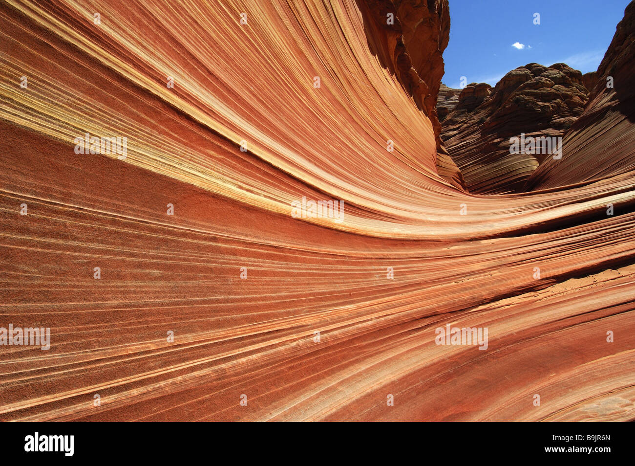 USA Arizona Utah Paria Canyon-Vermillion Cliffs Wilderness Welle Amerika Arizona Canyon Farben Felsen fließend Formationen Formen Stockfoto