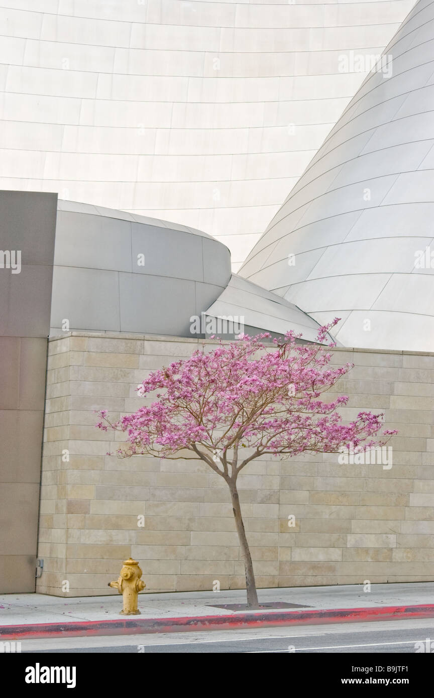 Ein einsamer Baum und Hydranten vor der Walt Disney Concert Hall in Los Angeles, Kalifornien Stockfoto