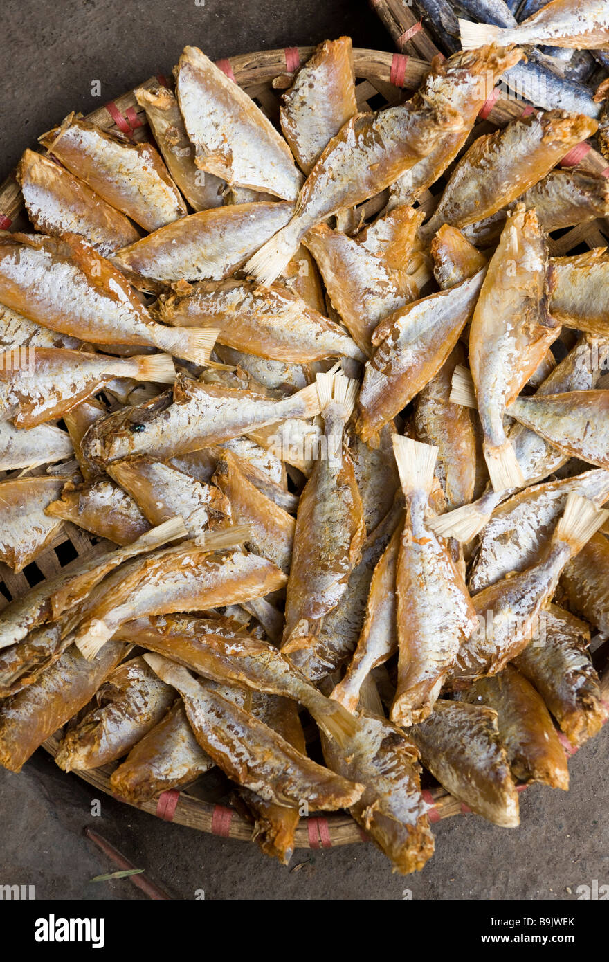 Getrocknete Fische Stall im alten Viertel Markt Hanoi Vietnam Stockfoto