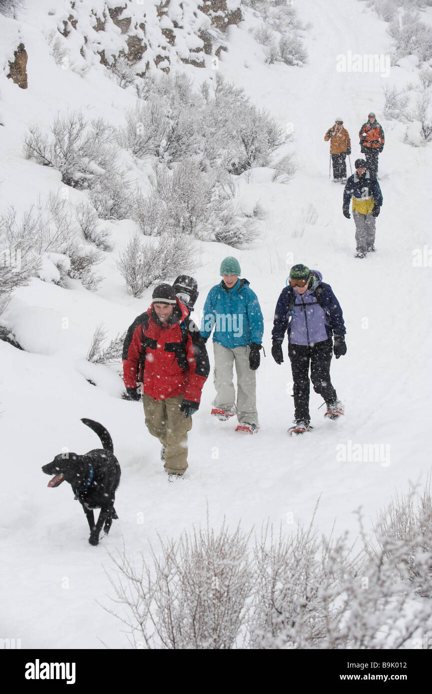 Erhöhte Ansicht eines Mediums große Gruppe von Erwachsenen und einem schwarzen Hund zu Fuß auf eine Spur im Schnee in Bend, Oregon. Stockfoto