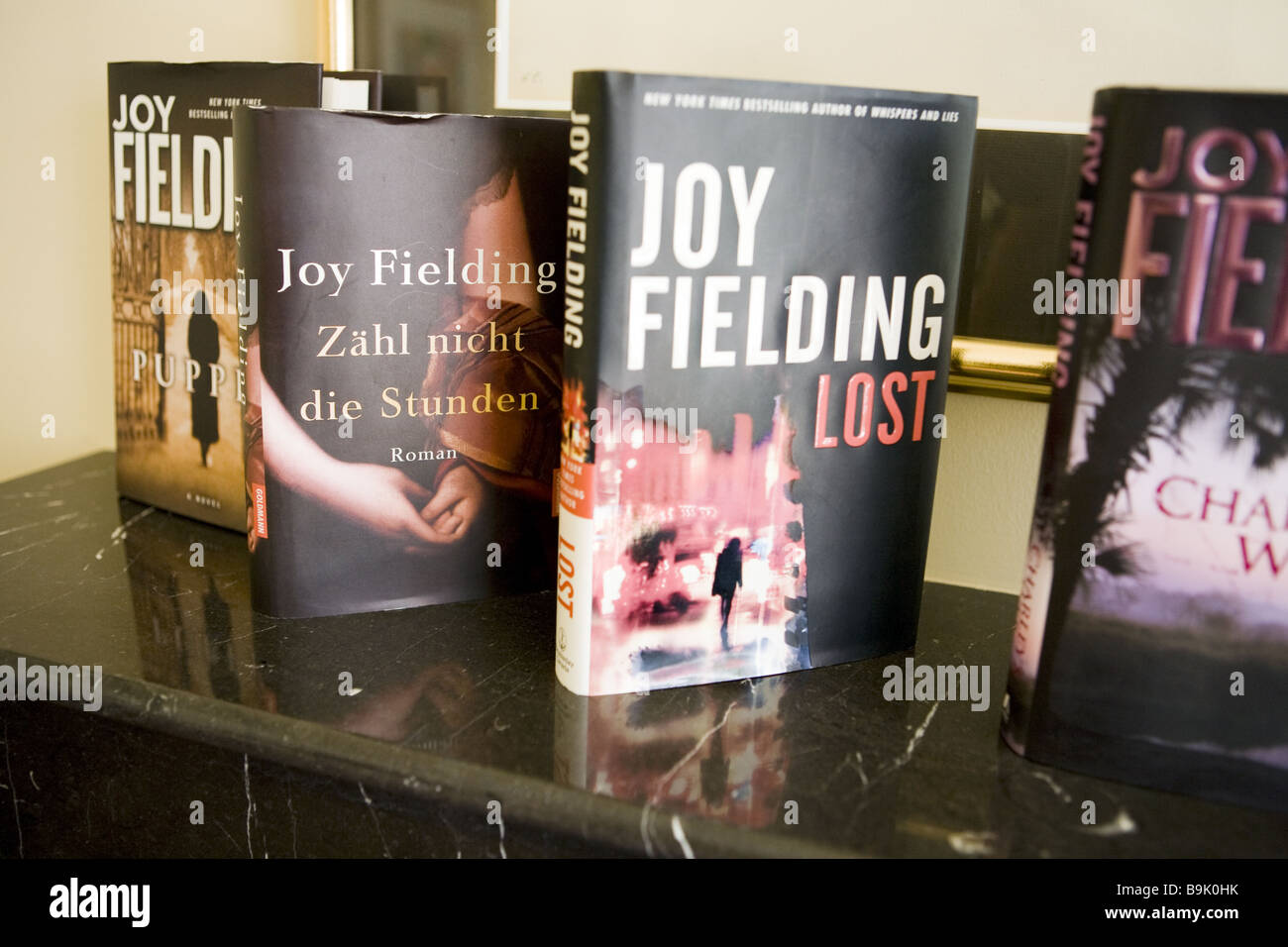 neues buch von joy fielding